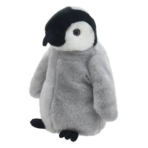 Full Bodied - Penguin Chick