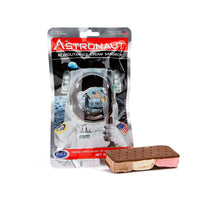 Neapolitan Astronaut Ice Cream Sandwich