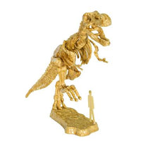 I Dig It! Dinos- 3D T. Rex
